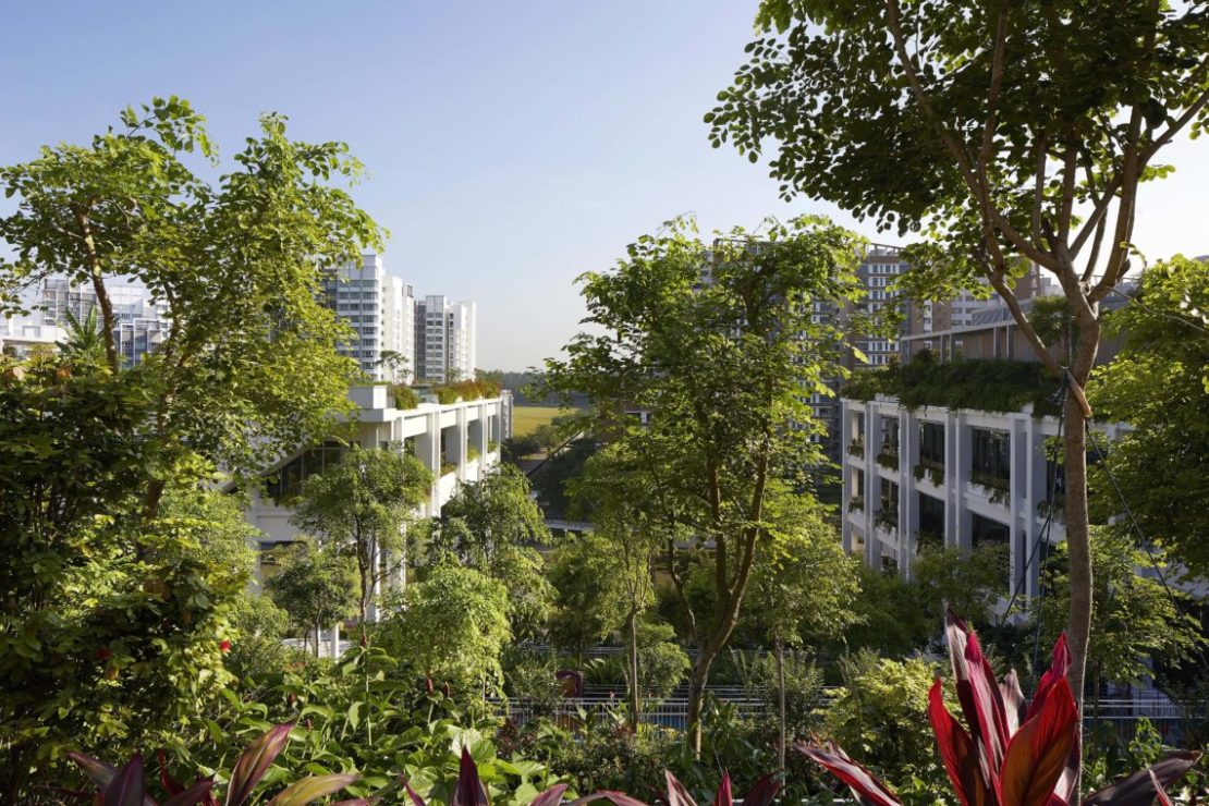 Oasis Terraces – World Buildings Directory | Architecture Search Engine