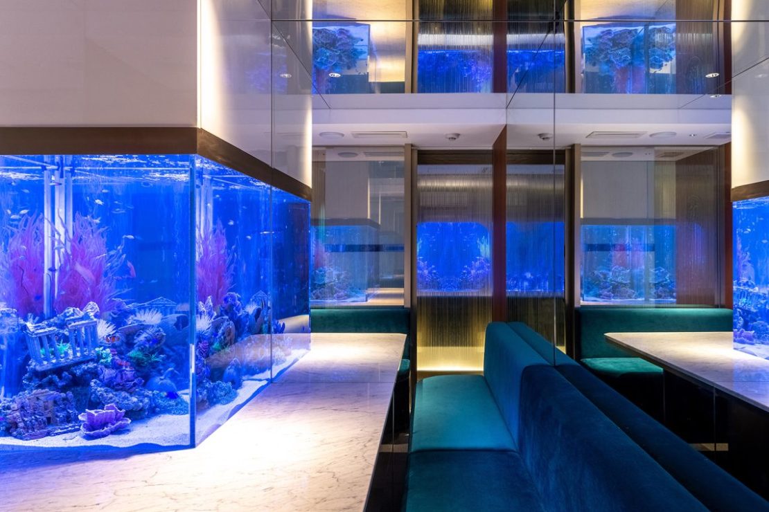 The Grand Blue Express - World Buildings Directory | Architecture ...